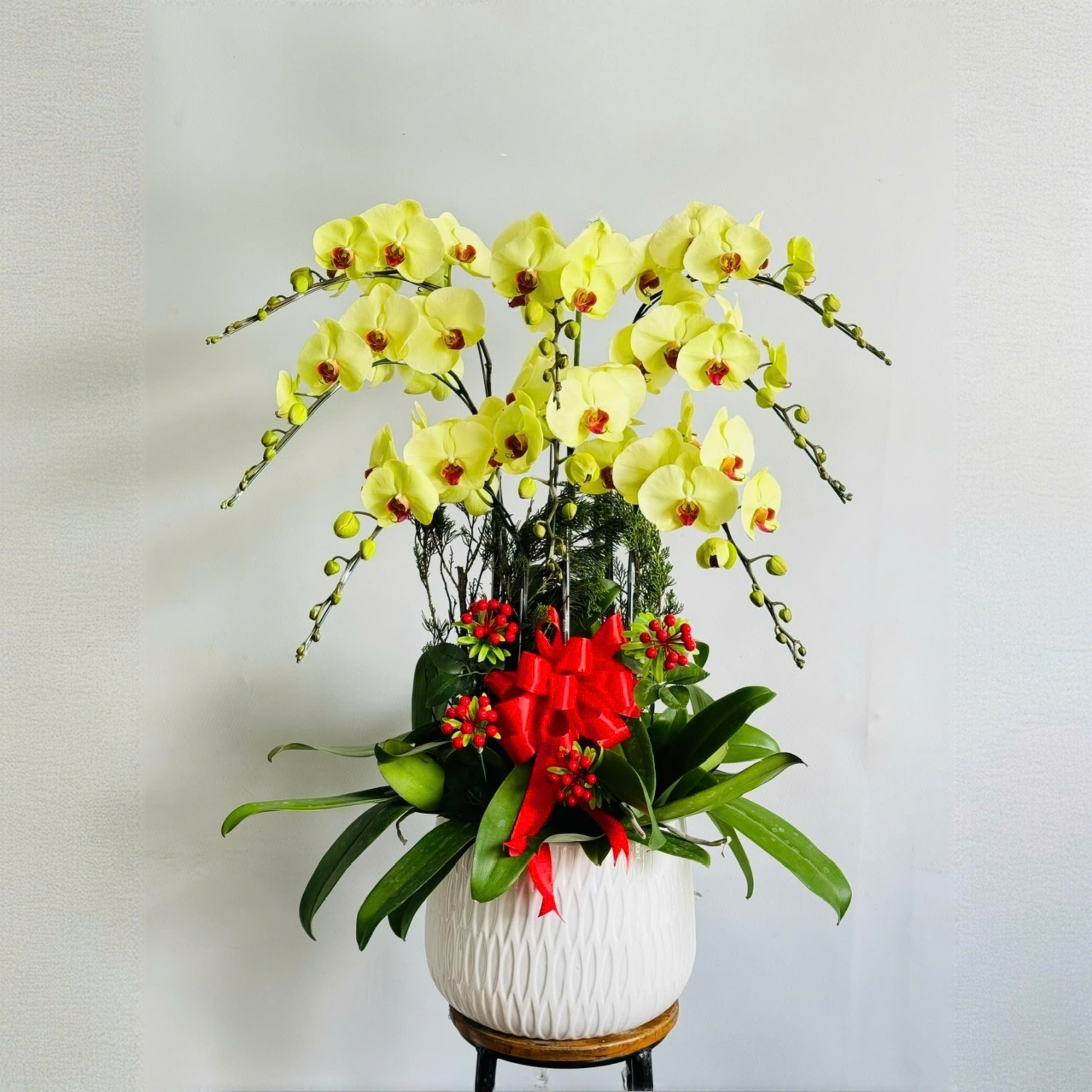 Lan hồ điệp màu xanh bơ 8 cành - VA115